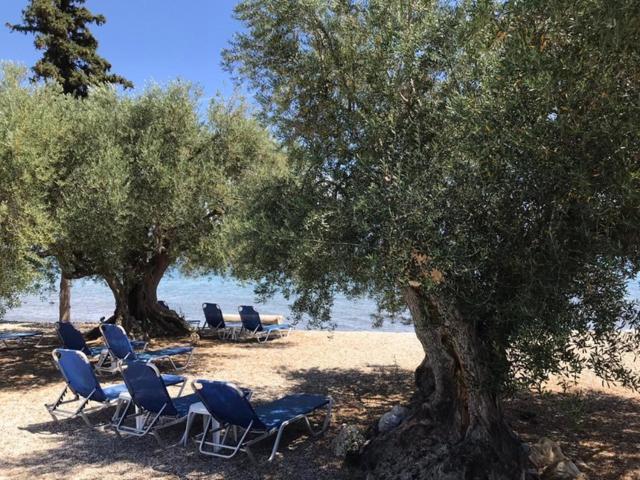 Kalimera Apartments Kivérion Dış mekan fotoğraf